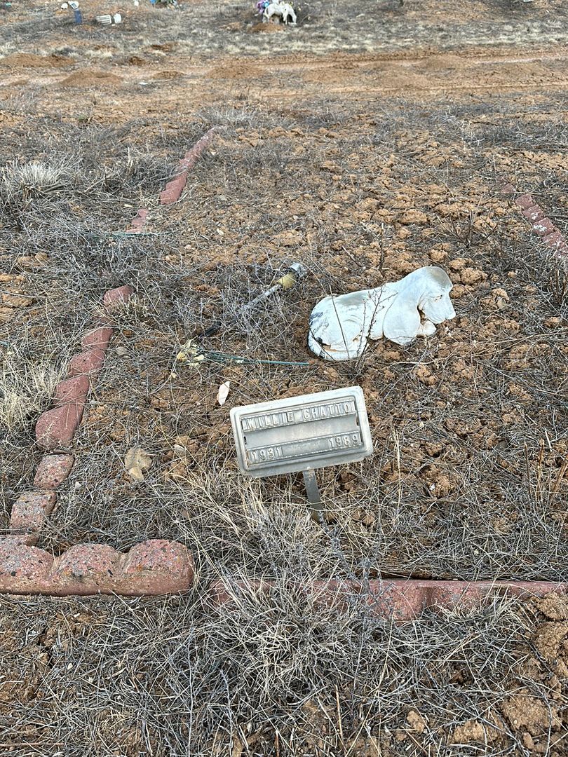 Willie Chatto's grave. Photo 1