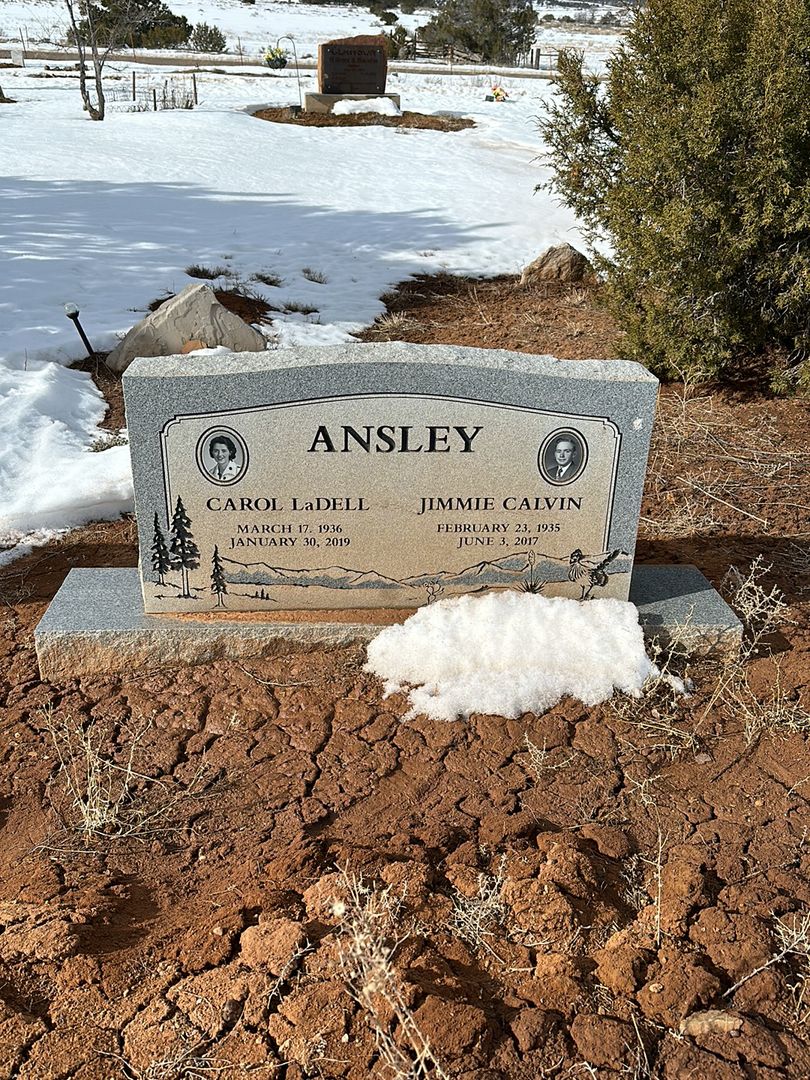 Jimmie Calvin Ansley's grave. Photo 1