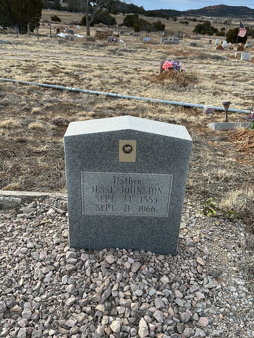 Jesse Johnston's grave. Photo 1