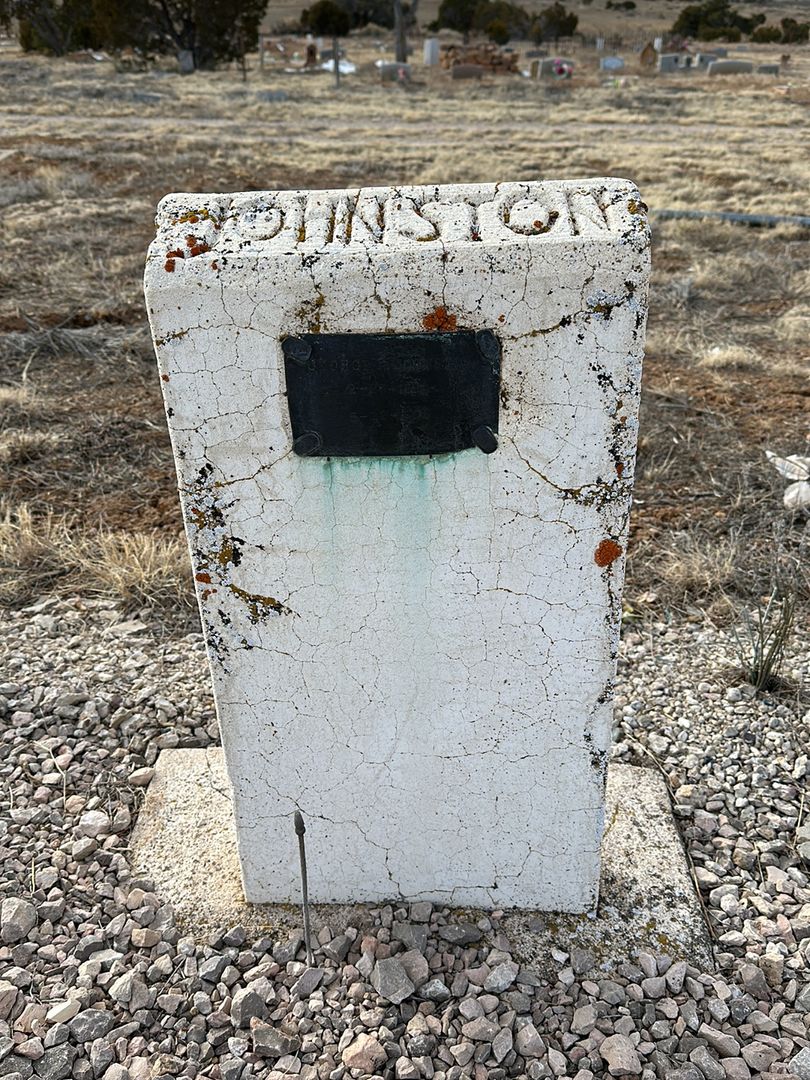 George A. Johnston's grave. Photo 1