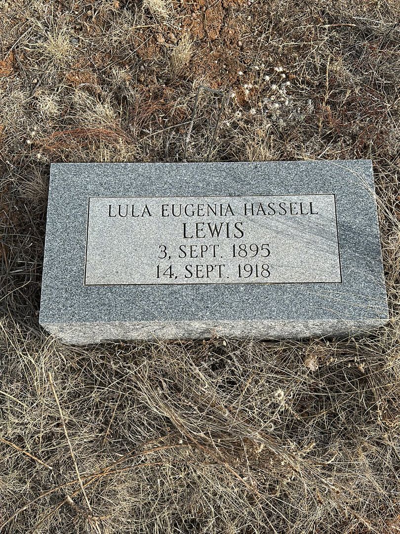 Lula Eugenia Hassell Lewis's grave. Photo 1