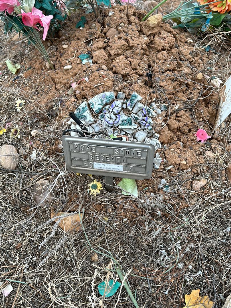Hope Sadie Becenti's grave. Photo 1