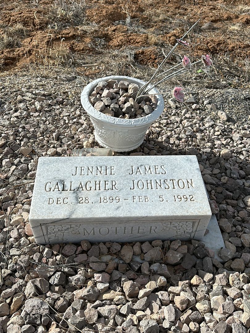 Jennie James Gallagher Johnston's grave. Photo 1