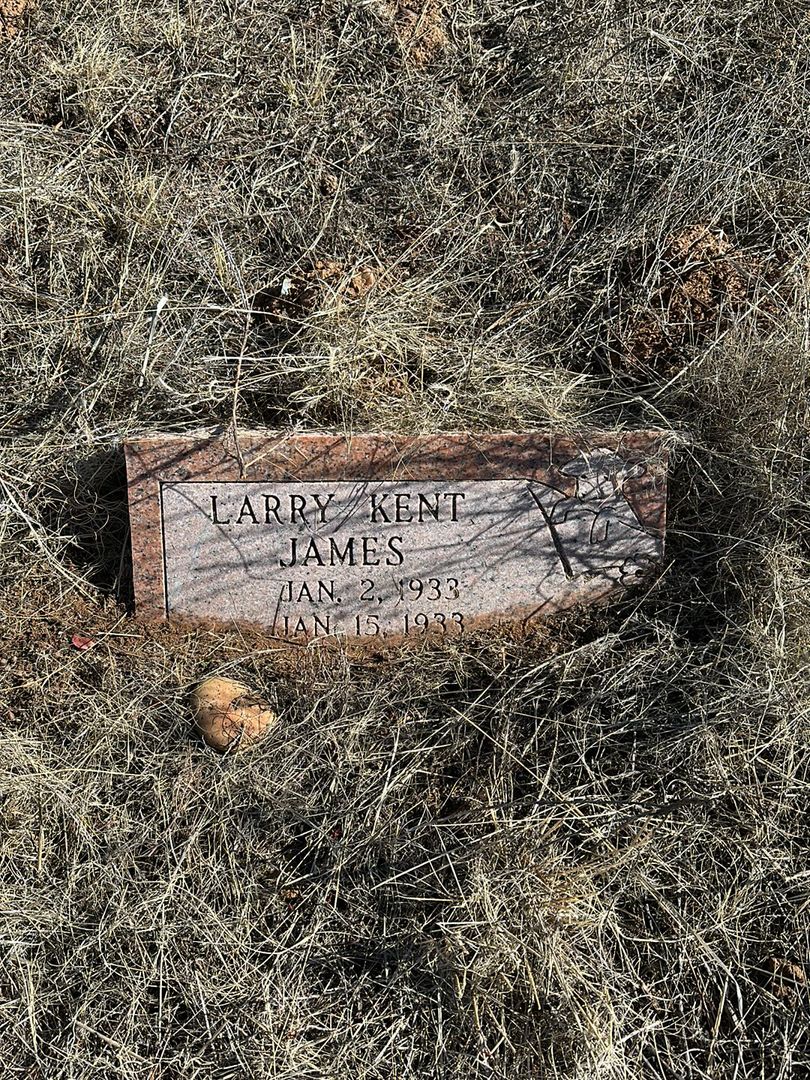 Larry Kent James's grave. Photo 1