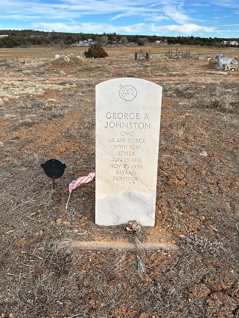 George Abner Johnston's grave. Photo 1