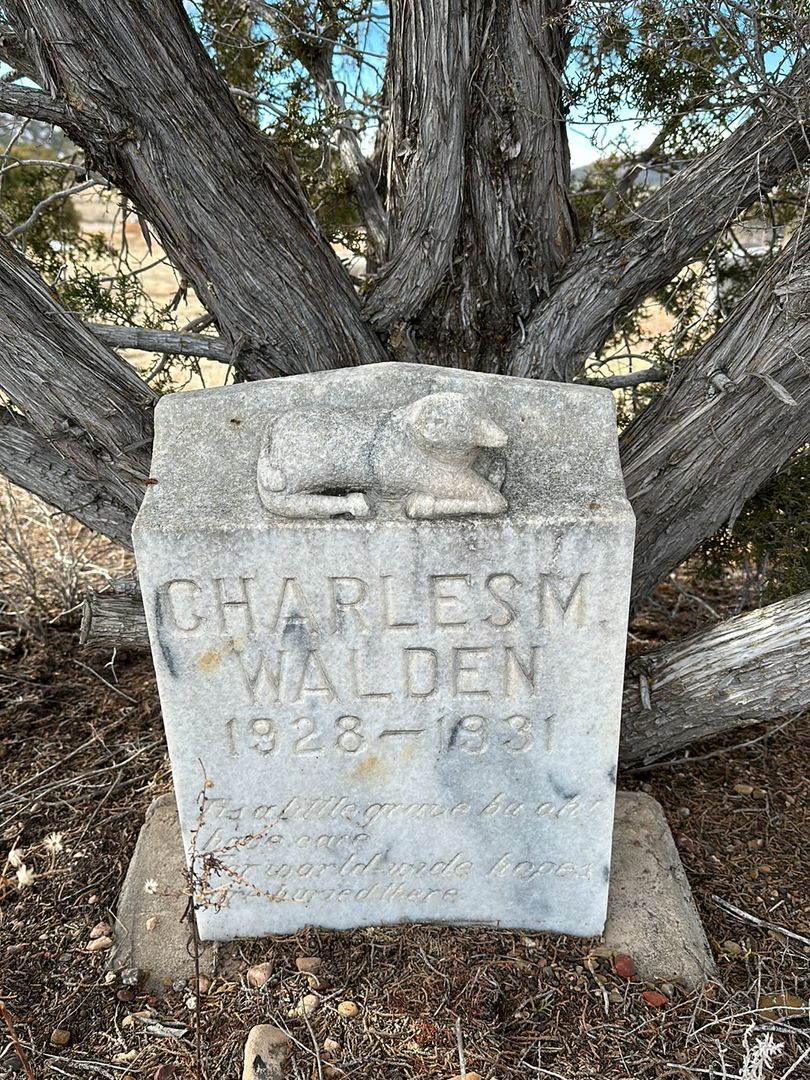 Charles M. Walden's grave. Photo 1