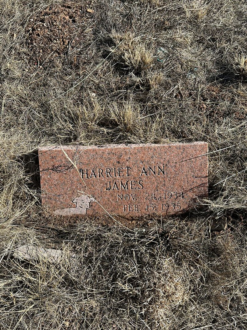 Harriet Ann James's grave. Photo 1