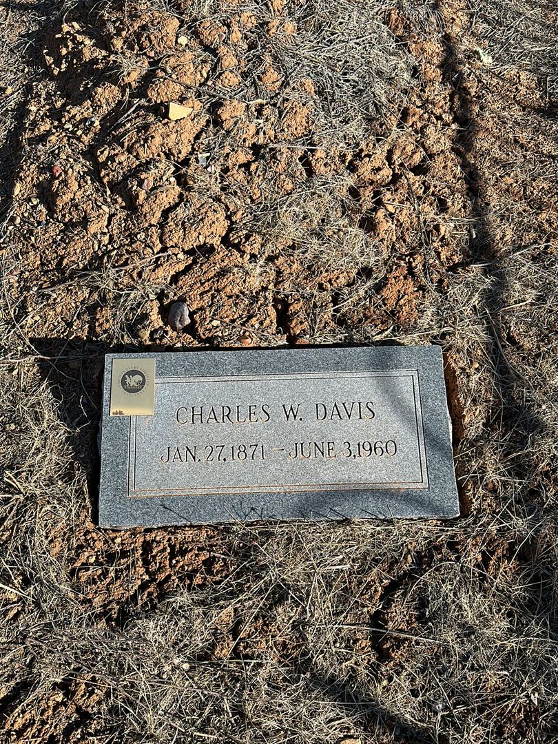 Charles W. Davis's grave. Photo 1