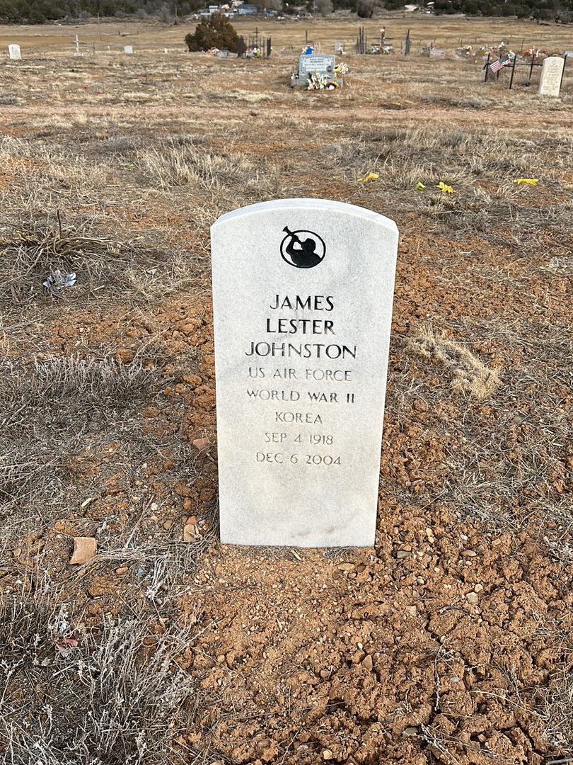 James Lester Johnston's grave. Photo 1