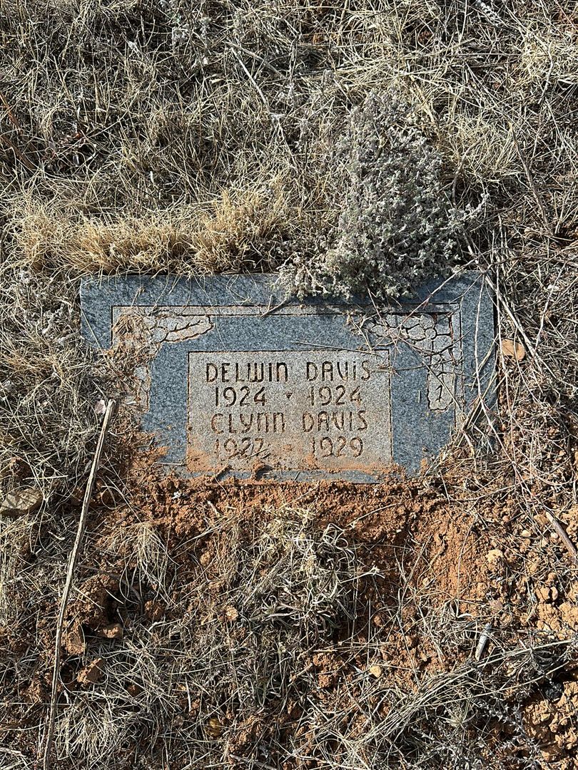 Delwin Elmer Davis's grave. Photo 1