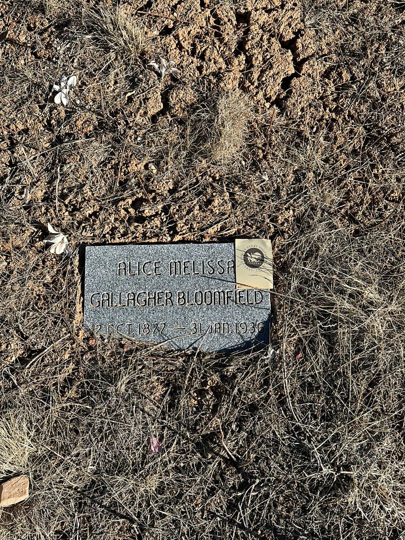 Alice Melisa Gallagher Bloomfield's grave. Photo 1