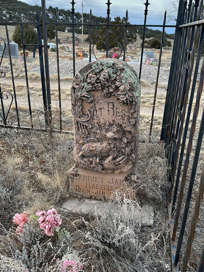 Harriet James Raestle's grave. Photo 1