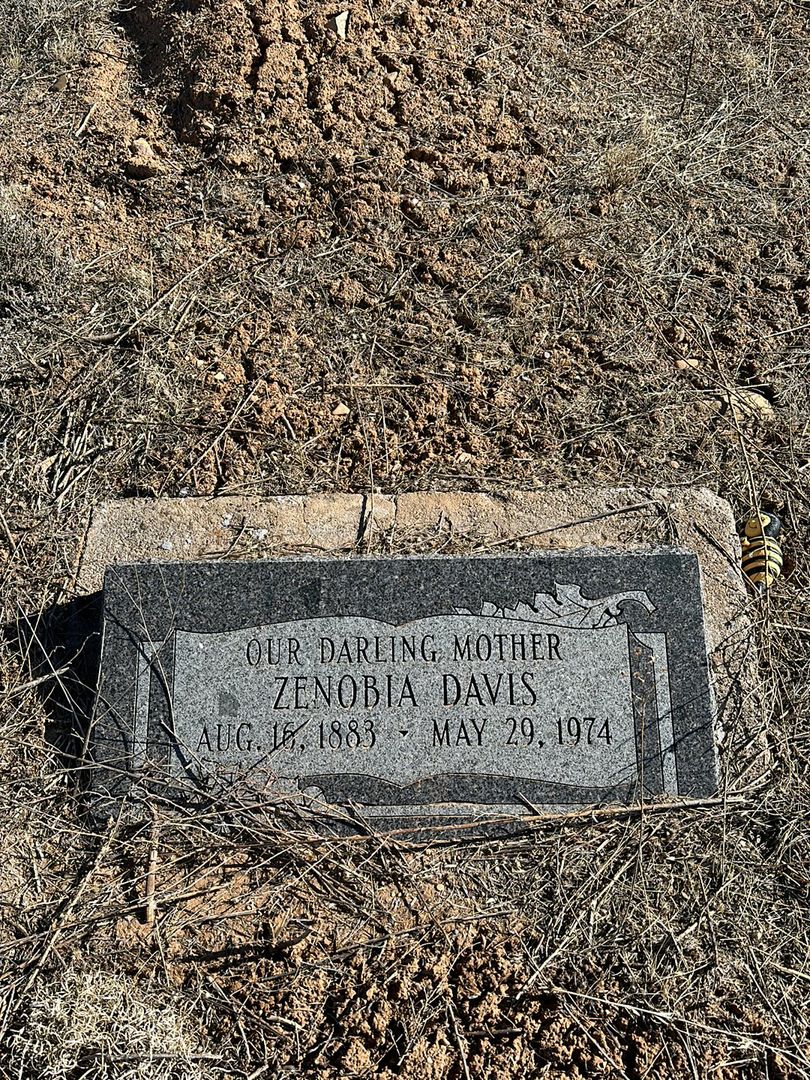 Zenobia Campbell Davis's grave. Photo 1