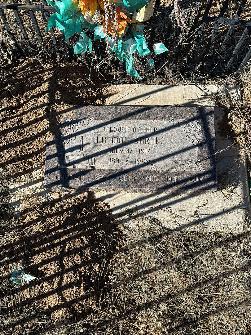 Cecelia Barnes Swartz's grave. Photo 1